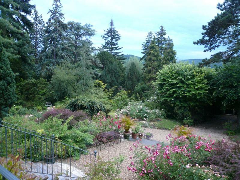 La Pluie De Roses Giverny